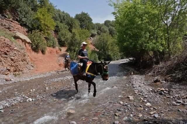 Riad Idar Ouirgane Kültér fotó